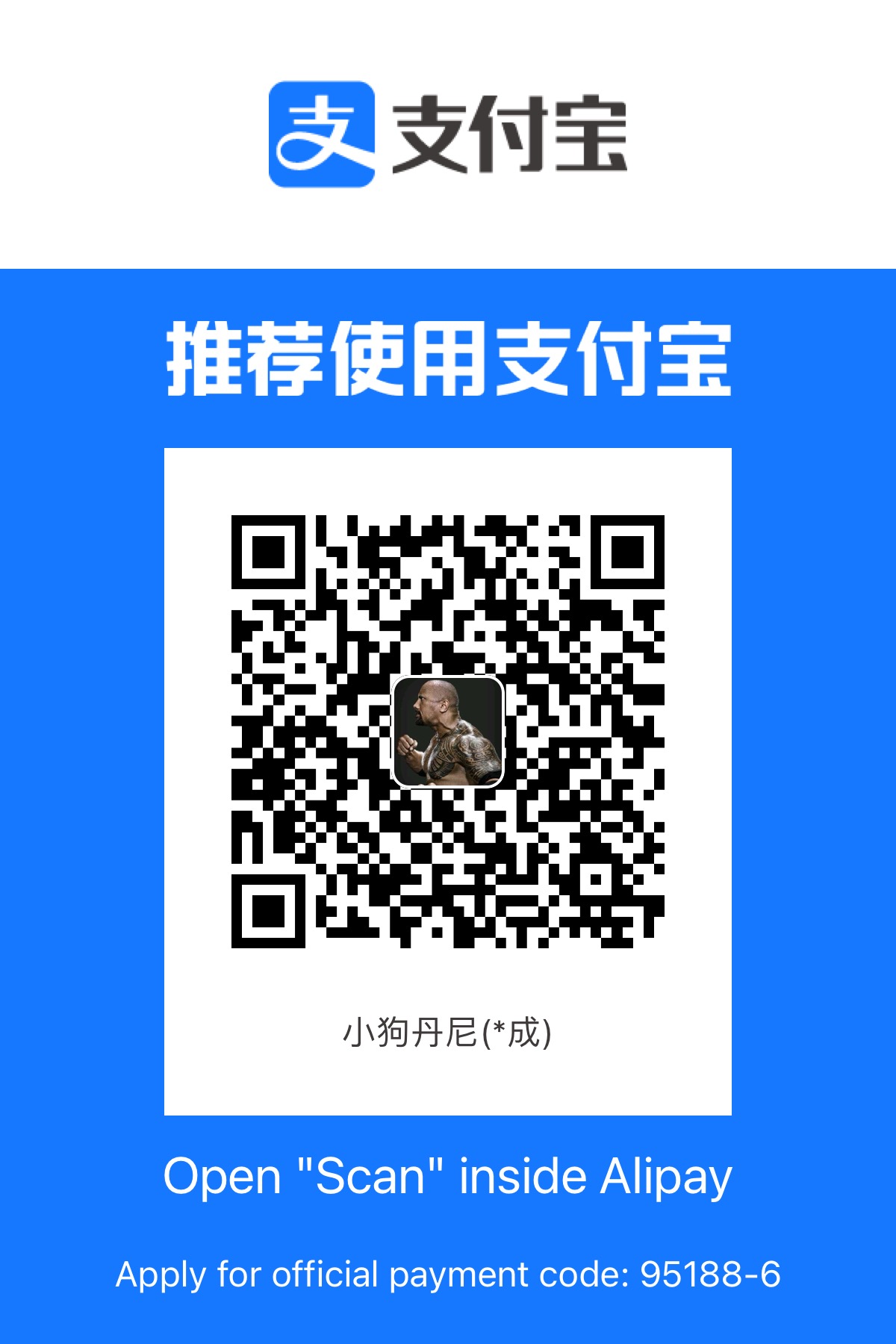 V3 作者支付宝
